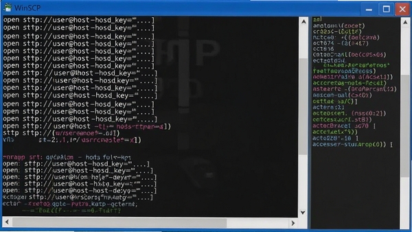 WinSCP�����д��ڽ��棬��ɫ��������ʾ�����ű�ָ���open sftp://user@host -hostkey=