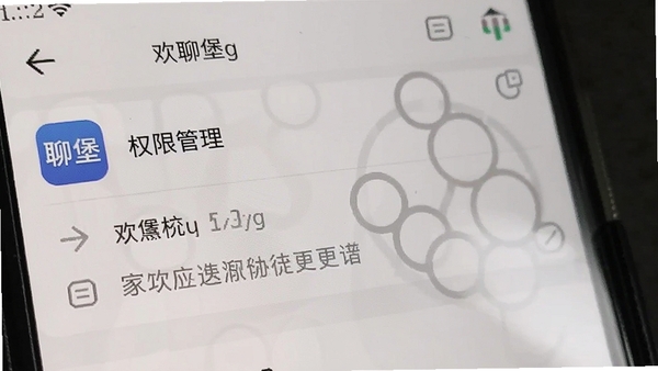 手机设置界面截图,显示欢聊堡应用权限管理选项