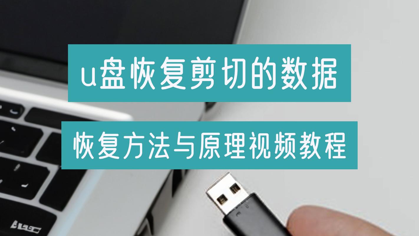 得力U盘数据恢复-专业U盘文件恢复工具截图