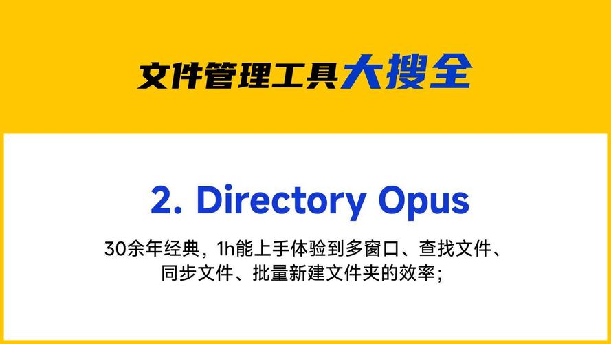 Directory Opus-ȫ���ļ�����ר�ҽ�ͼ