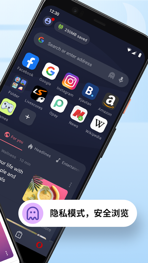 MiniBrowser�����-���ɼ��ٵ���ҳ������߽�ͼ1