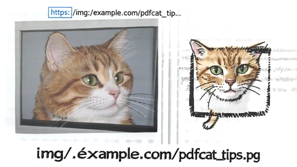 https://img.example.com/pdfcat_tips.png