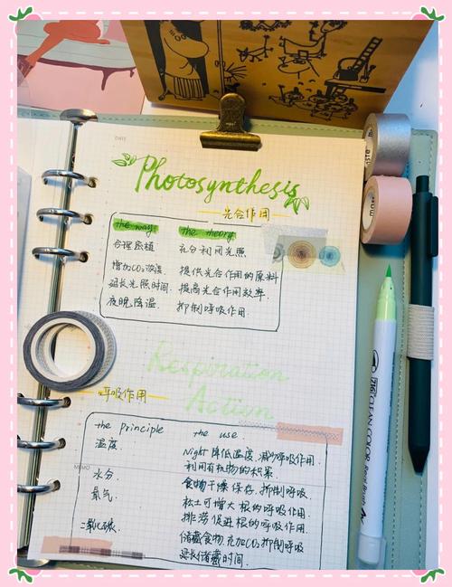 BookxNoteѧϰ�ʼ�-��Ч����ʼǹ��߽�ͼ2