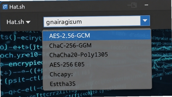 չʾHat.sh�������㷨ѡ�������˵��Ľ�����д���г�AES-256-GCM��ChaCha20-Poly1305��ѡ������г�����ܴ�������Ч����ͻ��רҵ���������