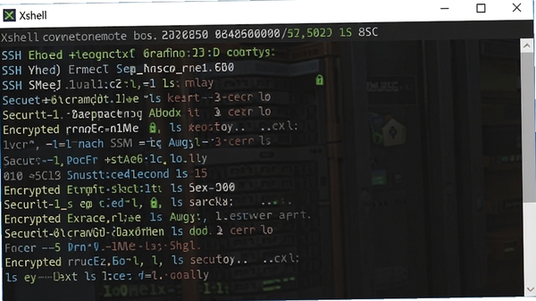 չʾXshell����Զ��Linux��������ִ��ls������ն˴��ڣ������Ϸ���ʾSSH������Ϣ�ͼ����㷨��ʶ��͹�԰�ȫ����