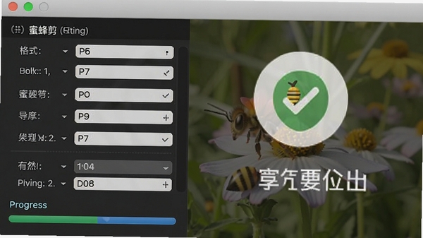 �۷�����������ý��棬��ʾ��ʽѡ�񡢷ֱ���ѡ��ͽ������������гɹ���������ʾͼ��