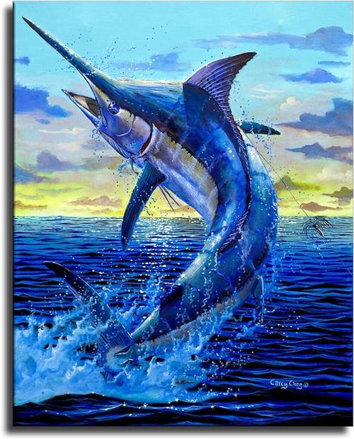 Billfish-����زĹ������߽�ͼ