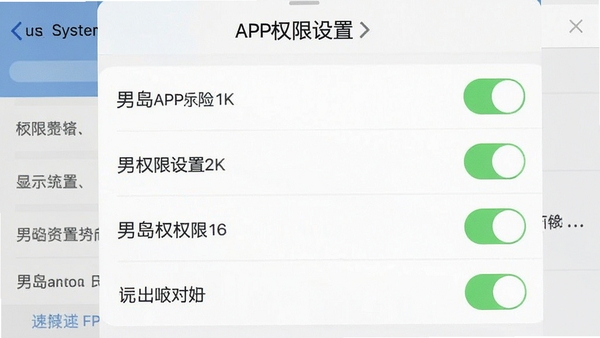 �е�APPȨ�����ý����ͼ��չʾ����Ȩ�޿���״̬������Ϊϵͳ����ҳ�档