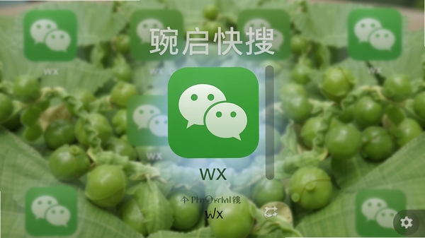 �㶹���ѿ��������壬���롰wx����ʾ΢��ͼ�꣬��Χ��ģ���ı�����ͻ������ִ���ٶ�