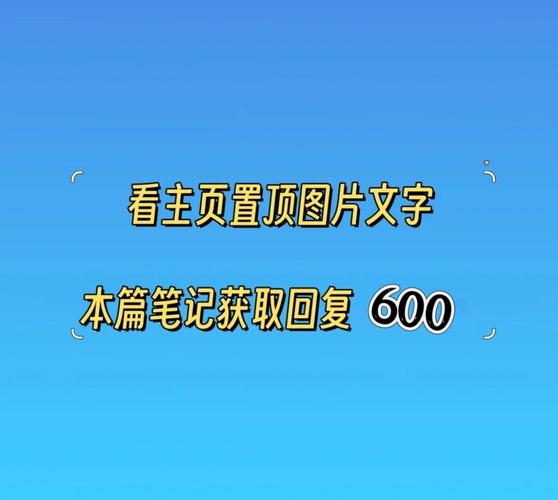 QVE��Ļ¼��-����������¼��ר�ҽ�ͼ