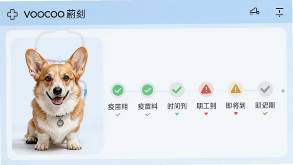 VOOCOOε��Ӧ���ڽ������������ͼ��չʾһֻ�»�Ȯ���������ʱ���ᣬ��ɫ�Թ�����������Ŀ����ɫ�����־��ʾ�������ڵ���Ŀ������������������Ϊǳ��ɫҽ�Ʒ��