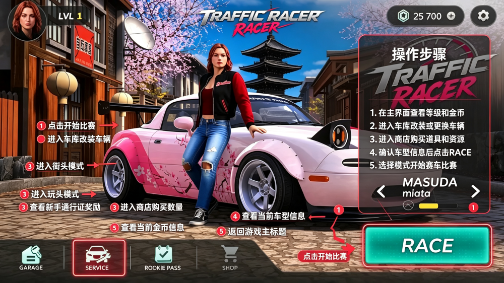 Traffic Pro Racer��·����ר�����°汾