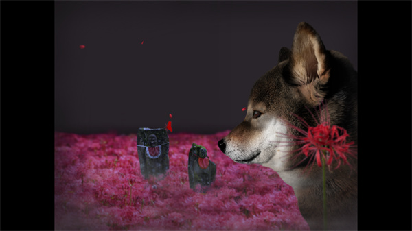 ���ղ��湷�����ռ�Steam��ֲ��Ϸ�ֻ���