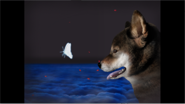 ���ղ��湷�����ռ�Steam��ֲ��Ϸ�ֻ���