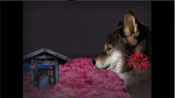 ���ղ��湷�����ռ�Steam��ֲ��Ϸ�ֻ���
