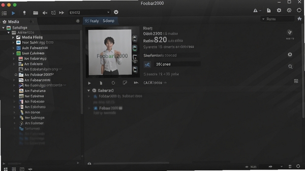 һ��Foobar2000�Զ�������չʾͼ�������ִ�����ɫ���⣬���Ϊý��⵼�������Ҳ�Ϊ��ϸ����Ŀ��Ϣ��壬���������רҵ��