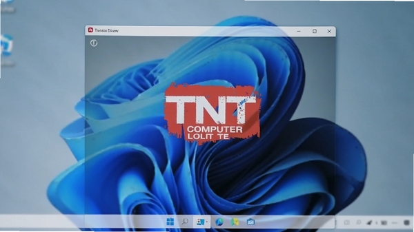 һ��չʾTNT���԰�������Windows 11ϵͳ�����е�ʵ��ͼ���������������������ɼ���������ģ���������ֽ���ص�ͻ��������ϵͳ���ں϶ȣ�����ɫ��ƫ��ɫ��ǿ���ȶ�������