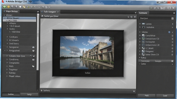 Adobe Bridge CS4 �����ղؼ����ý��棬��ʾɸѡ����