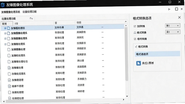 友锋图像处理系统批量处理功能,文件列表及格式转换选项界面
