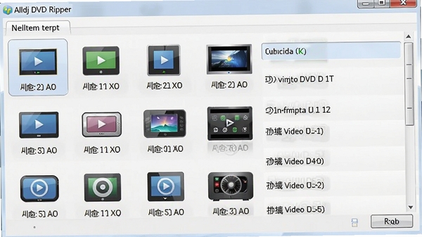 Alldj DVD Ripper��ʽѡ��˵���չʾ�����豸ͼ��Ͷ�Ӧ��Ƶ��ʽ�б�