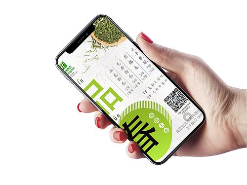 appplus-��Ч��ݵĵ��Թ������߽�ͼ