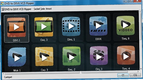 DVD to DIVX VCD Ripperת����ʽѡ����棬չʾ������Ƶ��ʽͼ�꣬�������룬ɫ������