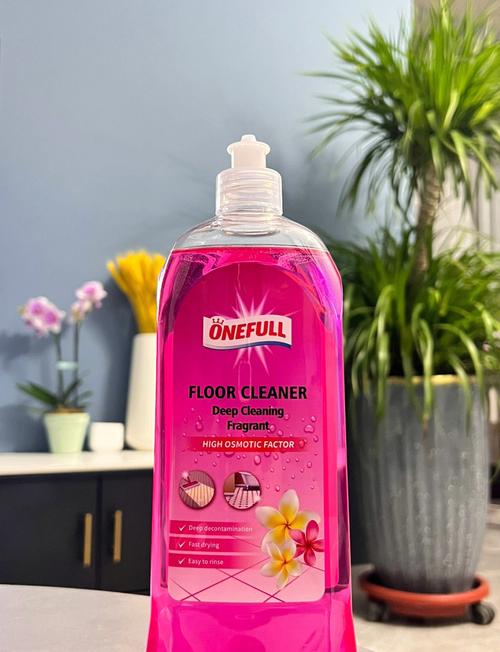 eusing cleaner-���ʡ�ĵ�ϵͳ����ר�ҽ�ͼ0