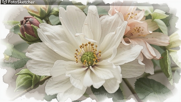 һ��չʾFotoSketcher��������Ƭת��Ϊˮ�ʻ�Ч����ͼƬ��ɫ����ͣ���Ե��Ⱦ��Ȼ������������Ϣ