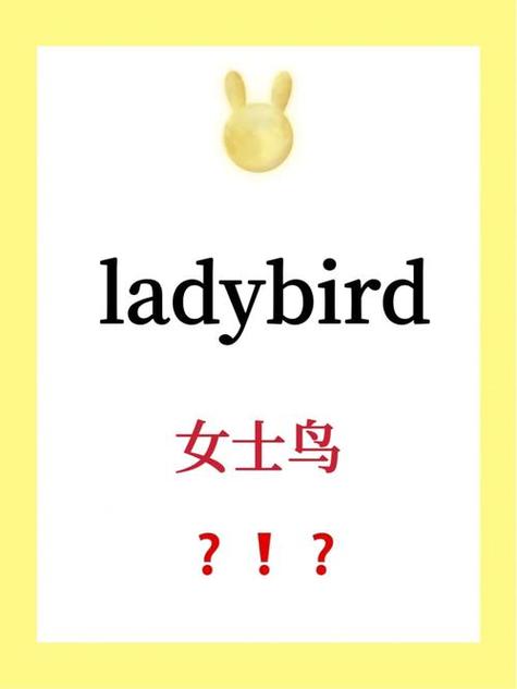 Ladybug on desktop-�����Ӿ����ֽ�ͼ