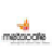 Metacafe Video Downloader-רҵ��Ƶ��������v2.8.6 �ٷ�����