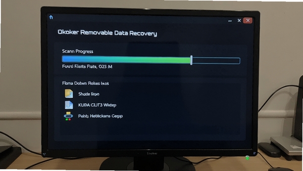Okoker Removable Data Recovery���ɨ����棬��ʾɨ����Ⱥ����ҵ��ļ���������ɫ��������ɨ��״̬