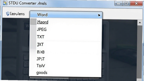 STDU Converter�����ʽѡ�������˵���չ����ʾWord��JPEG��TXT�ȶ��ָ�ʽѡ��
