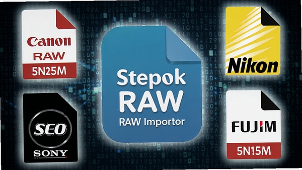 一张创意合成图,画面中央是Stepok RAW导入器图标,周围环绕着佳能、尼康、索尼、富士等各大相机品牌的LOGO及对应的RAW文件格式后缀名,背景为抽象的数码矩阵,寓意软件拥有广泛的格式兼容能力。