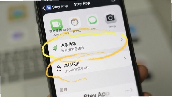 һ���ֻ���ͼ����ʾStey App����ҳ���С���Ϣ֪ͨ���͡���˽Ȩ�ޡ�����ѡ�����Ȧ���������黯��