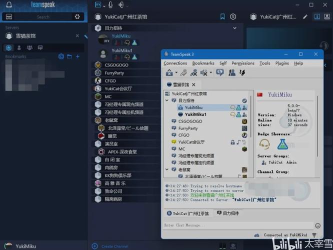 TeamSpeak 3-专业语音沟通工具截图1