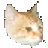 �������ƴ����ѯ��-���ƴ�����鹤��v3.2.0 �ٷ�����
