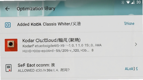 一张手机设置界面的截图,显示在电池优化白名单中添加了柯达经典云相框应用,并允许自启动,背景是安卓系统设置菜单
