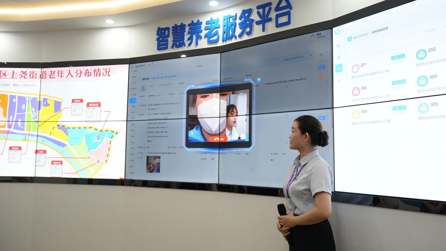 农村社会养老保险管理系统-高效农保管理平台截图0