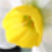 ���ʵ���ͨ-��Ч�Ǵ�����v3.2.1 �ٷ�����