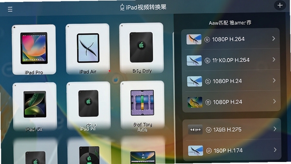 ����iPad��Ƶת�����豸ѡ����棬����г�iPad Pro��iPad Air���ͺ�ͼ�꣬�Ҳ���ʾ�Զ�ƥ����Ƽ�������1080P H.264