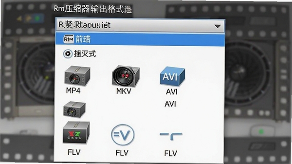 Rmѹ���������ʽѡ�������˵���չʾ����MP4��MKV��AVI��FLV�ȶ��ֿ�ѡ��ʽͼ��