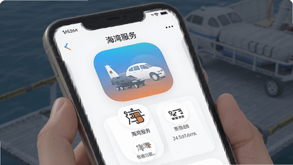 �������app���ܽ��ܽ������չʾ