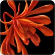 �ܼ�-��ܰ�ļ�԰����ƽ̨3.2.9 �ٷ�����