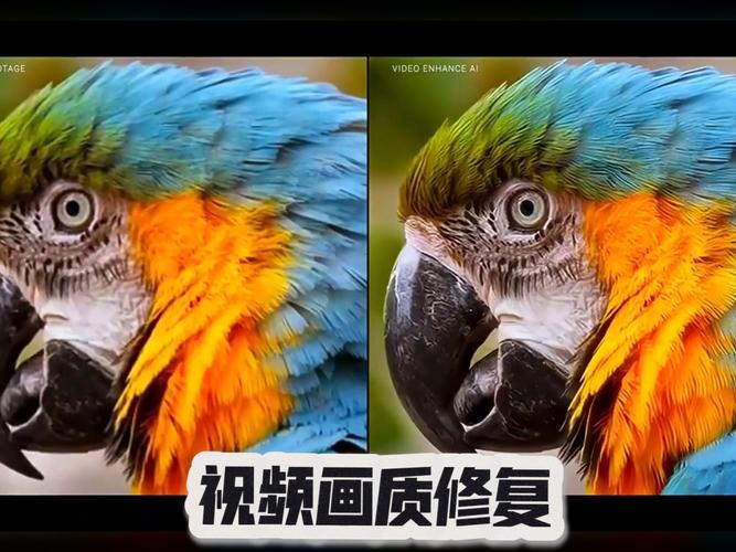 ����mxpro����-���»����Ż����� ��Ƶ�޸�ǰ��Ա�Ч��