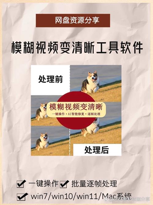����mxpro����-���»����Ż����� �������������뵼������