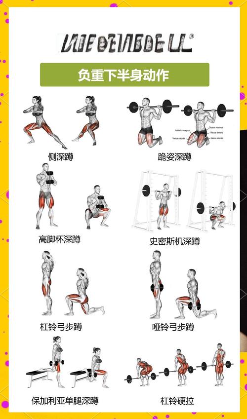 FitPro2-������ܽ���������Чѵ������ʾ��