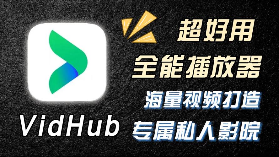 VidHub�ֻ���ٷ����Ÿ�����Ƶ����Ч��ʵ��