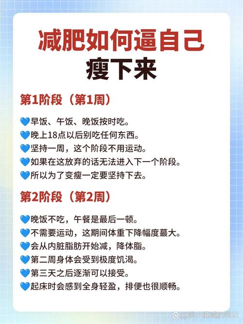 减论-轻松减重好帮手 健康瘦身 不反弹 生活化减肥