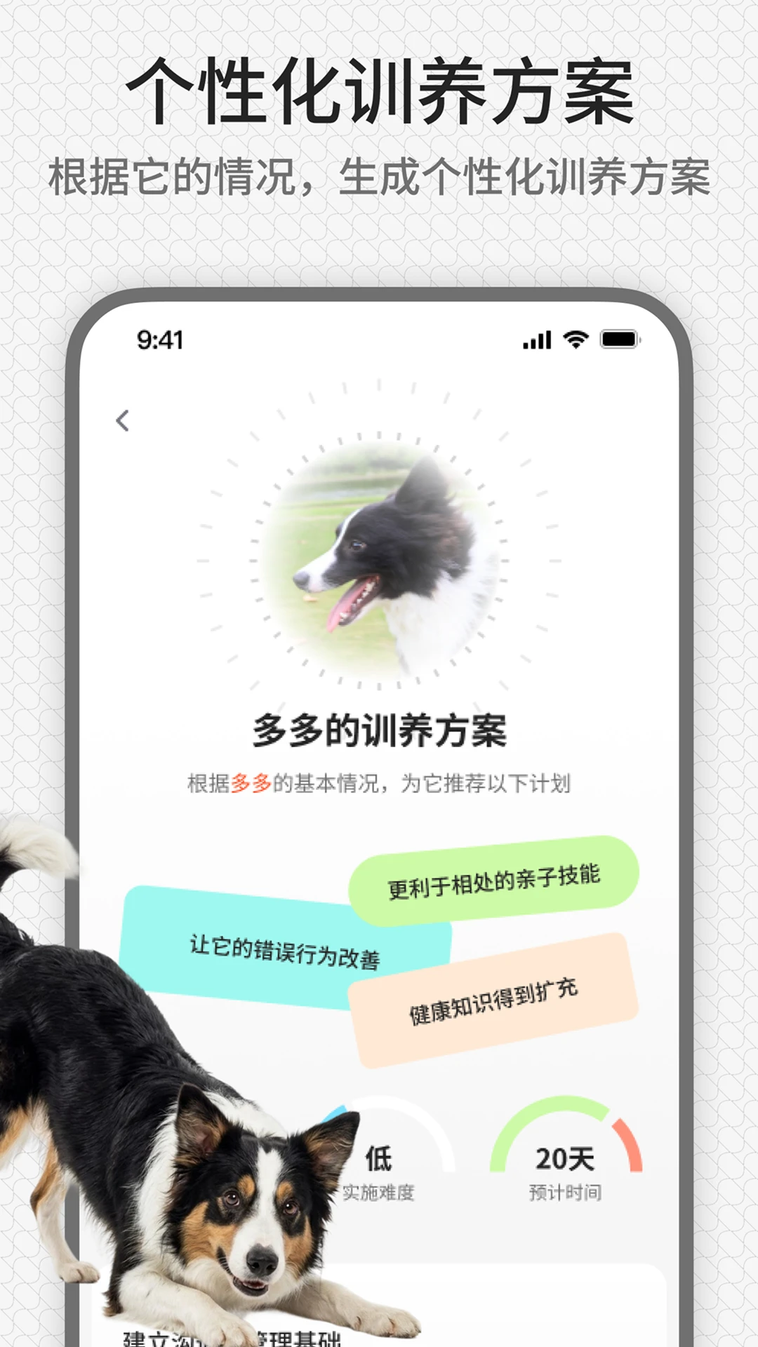 rua它-治愈解压的萌宠助手截图