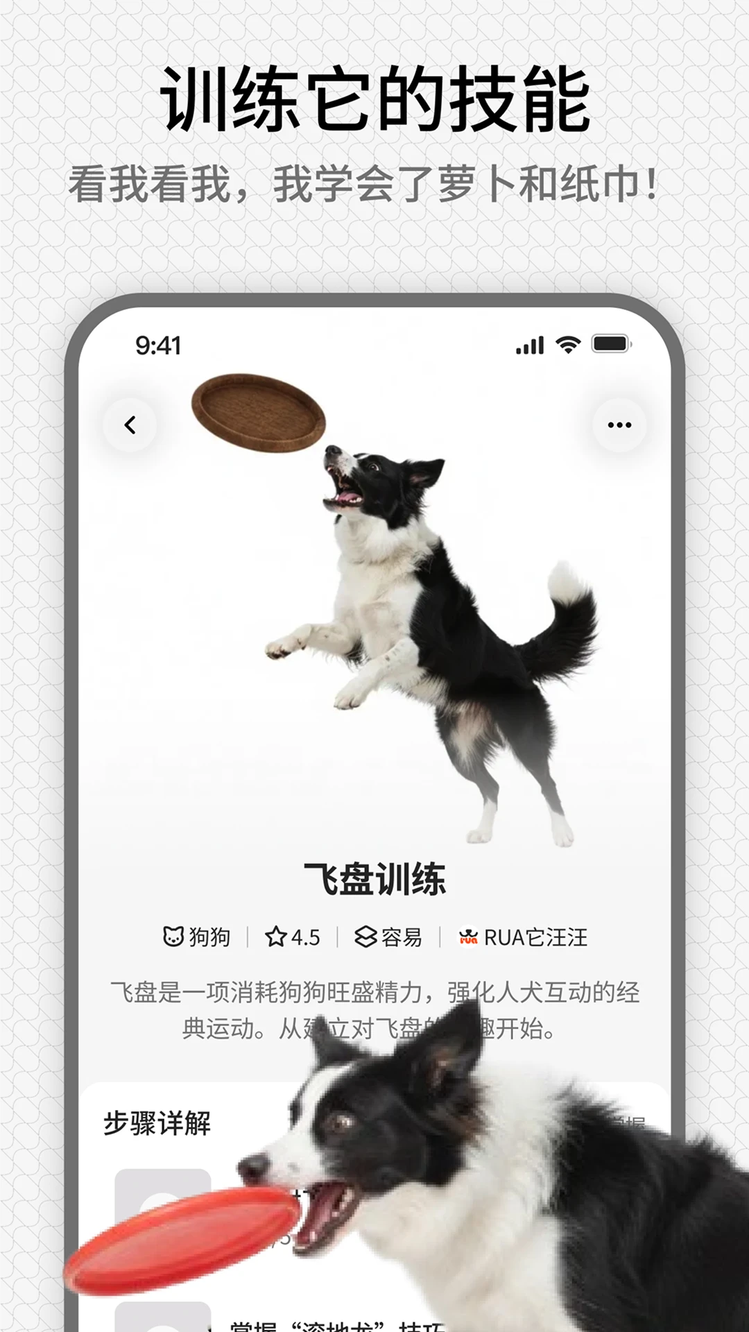 rua它-治愈解压的萌宠助手截图